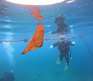 DCIM100GOPROGOPR7470.JPG