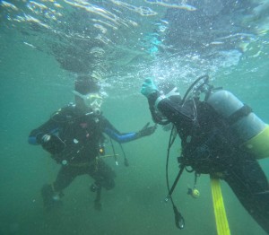DCIM100GOPROGOPR9498.JPG