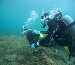 DCIM100GOPROGOPR9500.JPG