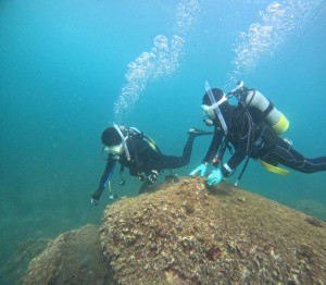 DCIM100GOPROGOPR9502.JPG