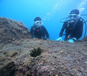 DCIM100GOPROGOPR9503.JPG
