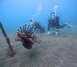 DCIM100GOPROGOPR9507.JPG