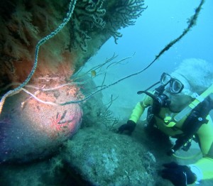 DCIM100GOPROGOPR9545.JPG
