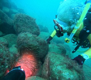 DCIM100GOPROGOPR9552.JPG