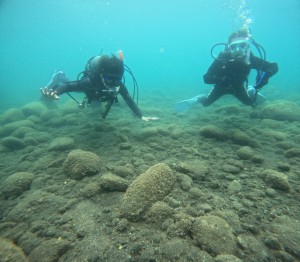 DCIM100GOPROGOPR9571.JPG