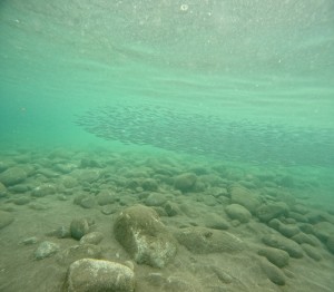 DCIM100GOPROGOPR9588.JPG