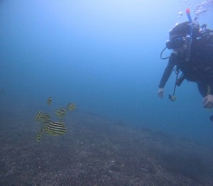 DCIM100GOPROGOPR9660.JPG