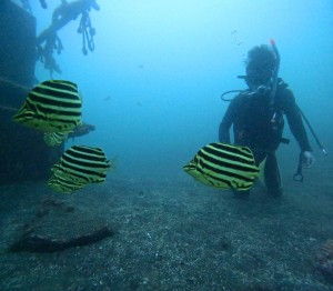 DCIM100GOPROGOPR9683.JPG