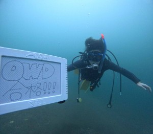 DCIM100GOPROGOPR9685.JPG