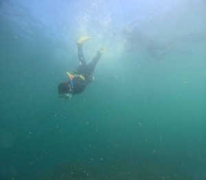 DCIM100GOPROGOPR9890.JPG