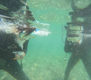 DCIM100GOPROGOPR9894.JPG