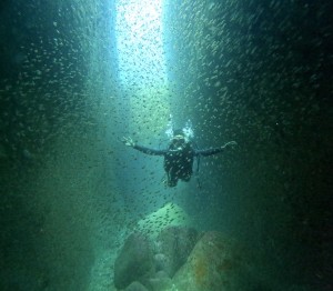 DCIM100GOPROGOPR9984.JPG