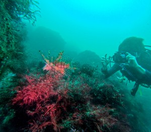 LINE_ALBUM_20250907_250907_17