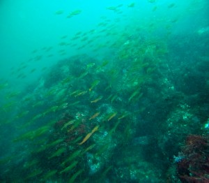 LINE_ALBUM_20250907_250907_21