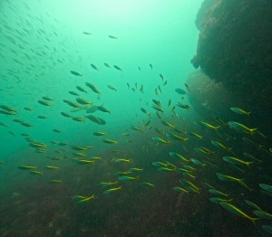 LINE_ALBUM_20250907_250907_36