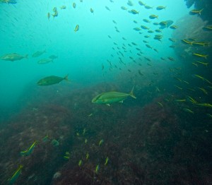 LINE_ALBUM_20250907_250907_37
