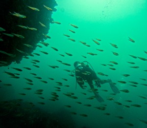 LINE_ALBUM_20250907_250907_76