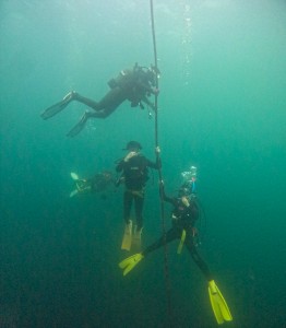 LINE_ALBUM_20250907_250907_93