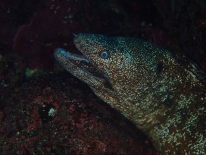 P9030009