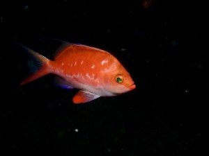 P9090032