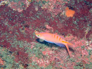 P9120071