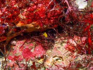 P9120084