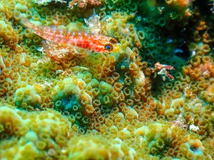 P9210164