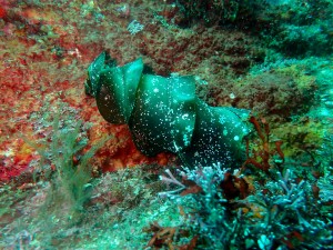 P9215887