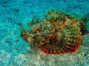 P9230029