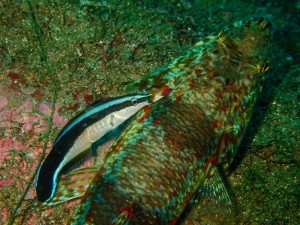 P9230106