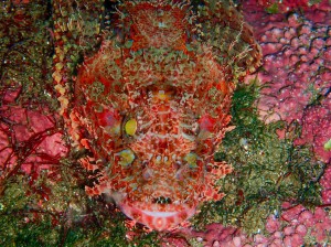 P9230113