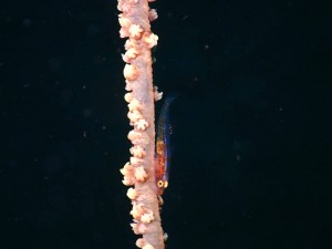 P9291364