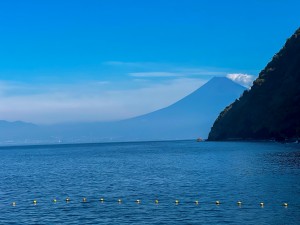 S__337649669_0