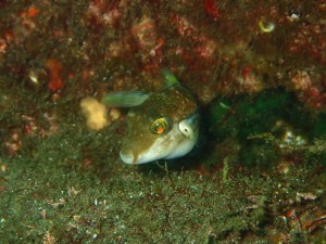 line_oa_chat_250906_180947