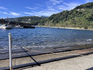 line_oa_chat_250911_171727