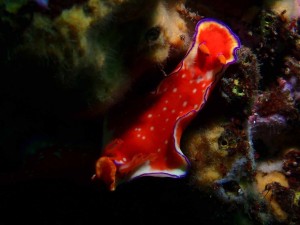 line_oa_chat_250912_174011