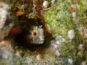 line_oa_chat_250922_172642