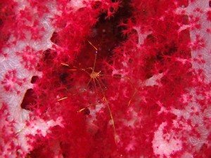 line_oa_chat_250922_175918