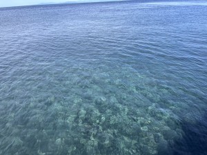 line_oa_chat_250922_181301