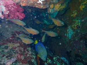 line_oa_chat_250928_190935