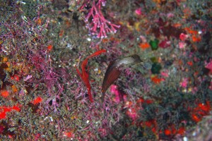 DSC08685