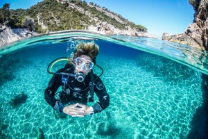 Dive-Image-(1)