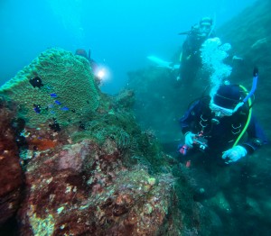 DCIM101GOPROGOPR1377.JPG