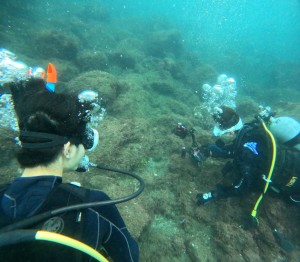DCIM101GOPROGOPR1400.JPG