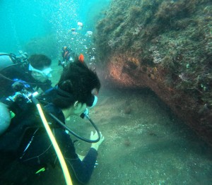 DCIM101GOPROGOPR1408.JPG