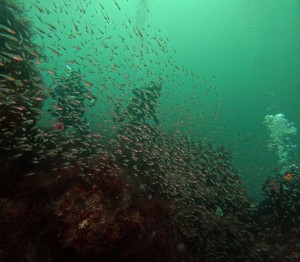 DCIM101GOPROGOPR1420.JPG