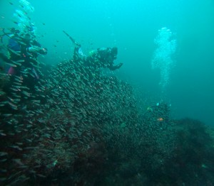 DCIM101GOPROGOPR1421.JPG
