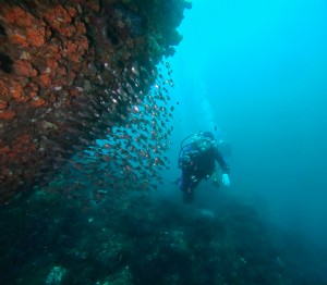 DCIM101GOPROGOPR1426.JPG