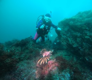 DCIM101GOPROGOPR1431.JPG