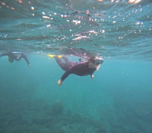 DCIM101GOPROGOPR1606.JPG